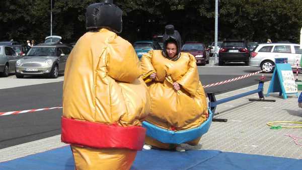 SUMO-RINGEN